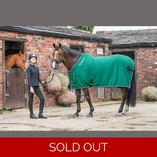 product Image for Whitaker R160 Club Show Rug  Green